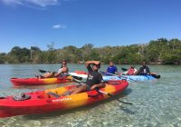 Kayak Eco Tour with SUP Englewood