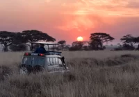 namibia-luxury-safari