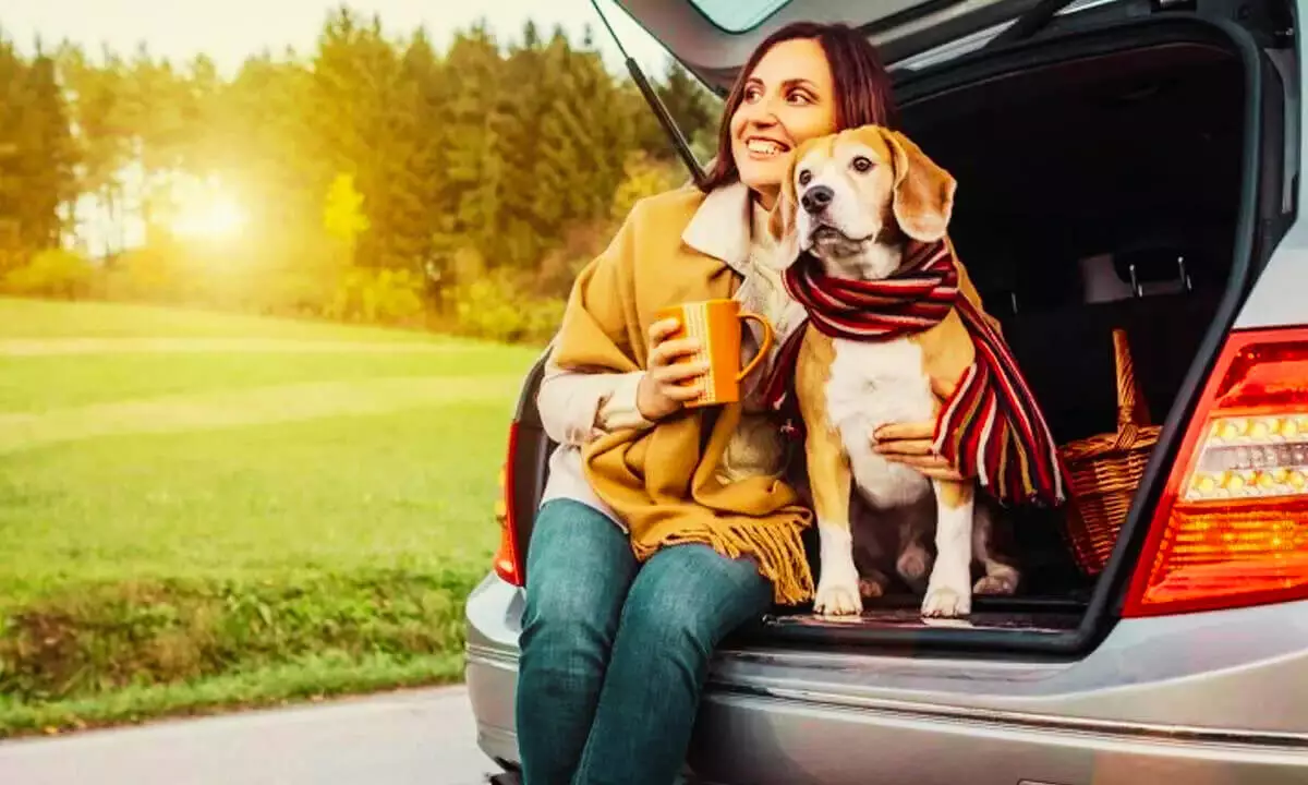 Traveling with Pets Tips for a Smooth and Enjoyable Journey