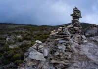 Climbing Kilimanjaro